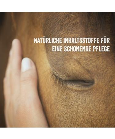 Martenbrown Pilz 1L Liver Moss Extract for Bacteria & Fungal Infestations in Horses Donkeys & Dogs - Effective Against Mites & Horse Fungus - Buy Online on GoSupps.com