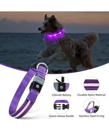 Buy Masbrill LED Dog Collar - Waterproof Luminous Safety Collar with 3 Flashing Lights for Small to Large Dogs (Purple 48-60cm) | International Shipping Available - Buy Online on GoSupps.com