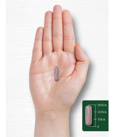 Carlyle Cranberry Supplement | 90 Capsules | Non-GMO and Gluten Free Formula | Cranberry Pills from Concentrate Extract - Buy Online on GoSupps.com