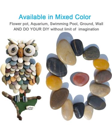 SACKORANGE 2 LB Aquarium Gravel River Rock - Natural Polished Decorative Pebbles for Aquariums & Landscaping - Mixed Color Stones (32-Oz) - Buy Online on GoSupps.com