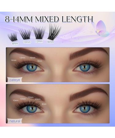 LZM C Curl Individual Eyelashes | 8-14mm Natural Look Reusable Fake Lashes | DIY Cluster Eyelashes Online - Buy Online on GoSupps.com
