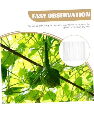 Yardwe 4pcs Shaped Fruit Vegetable Shaping Shaper Small Fruit Multifunction - Buy Online on GoSupps.com