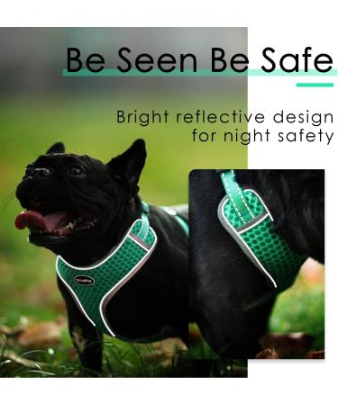Thinkpet No-Pull Dog Harness & Leash Set - Breathable Adjustable Safety Harness for Small Medium & Large Dogs - Padded Reflective Green (1 Pack) - Buy Online on GoSupps.com