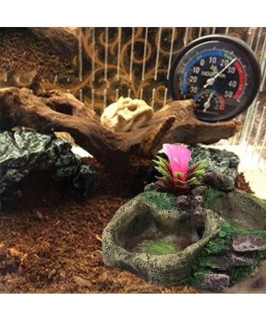 Eurobuy Reptile Dish Feed Feeding Water Bowl Resin Reptile Bowl Water Bowl for Snake Tortoise Lizard SP-008 - Buy Online on GoSupps.com