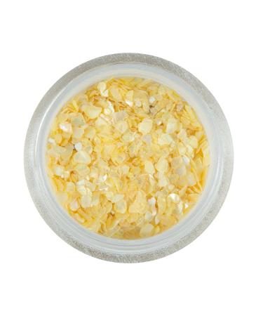 N&BF Nail Art Mussel Splitter 12er Set | Colorful Crushed Shells & Glitter for Gel Nails | Perlmutt Splinters & Musschel Inlays - Buy Online on GoSupps.com