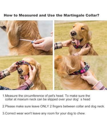 Comfortable Martingale Dog Collar - Adjustable Large Size with Sunflower Flower Pattern | Durable 1-Inch Wide - 43.2 cm to 63.5 cm Neck Circumference - Perfect for International Shipping - Buy Online on GoSupps.com