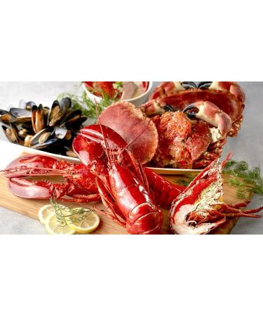 Gmark 25 Pack Disposable Plastic Lobster Bibs - Ideal for Crab Feasts & Seafood Parties - Keep Clothes Clean - GM1066 (25 ct) - Buy Online on GoSupps.com