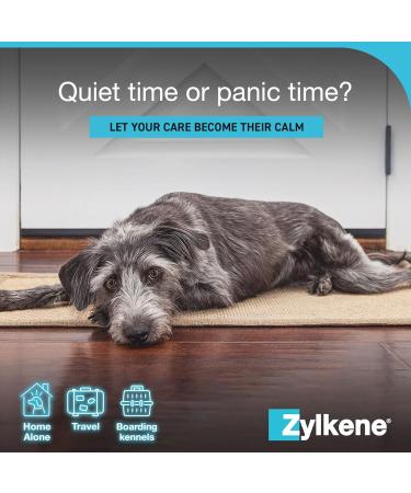 Zylkenee 450mg - 20 Capsules | Natural Stress Relief Supplement for Pets | Fast International Shipping - Buy Online on GoSupps.com