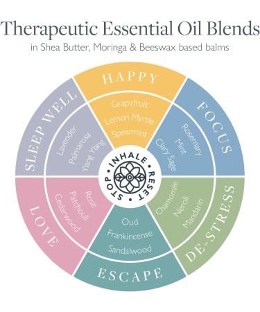 Scentered Aromatherapy Balm Gift Set - Daily Ritual | Sleep Well + 5 Mini Balms - De-Stress, Focus, Happy, Escape, Love | Lavender, Rosemary, Ylang Ylang | Women's Essential Oils Gift, Travel Bag - Buy Online on GoSupps.com