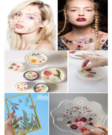 25 Types 83PCS Red Dried Pressed Flowers for Resin - Youthbro Real Nature Flowers Herb Set for DIY Crafts - 2 Pack Red Floral Decors - Buy Online on GoSupps.com