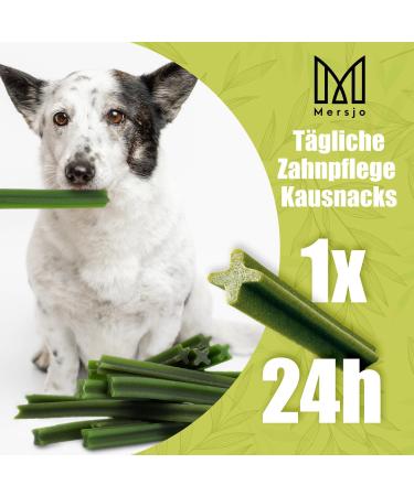Mersjo Dog Dental Sticks | Healthy Grain-Free Treats for Medium Dogs (10-25kg) | 56 Pieces | Reduces Bad Breath & Supports Oral Hygiene - Buy Online on GoSupps.com