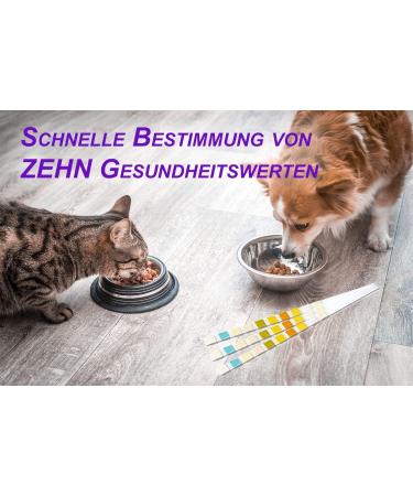 One+Step Urine Test Strips for Cats & Dogs - 15 Pack | Quick 10 Health Value Analysis | Fast & Accurate Veterinary Test - Buy Online on GoSupps.com