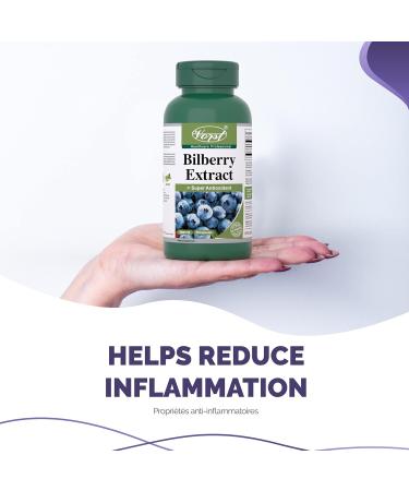 VORST Bilberry Supplement 8000mg Raw Equivalent (80mg 100:1 Extract) 3 X 90 Capsules | Eye Antioxidant Circulation Enhancer & Inflammation Reducer | Non Gmo Wild European Blueberry | Powder Pills | 3 Bottles 90 count (Pack of 3) - Buy Online on GoSupps.com