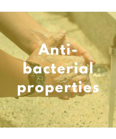 ManCave Lemon & Oak Anti-Bacterial Hand Wash 300ml Suitable for All Skin Types Natural Formulation Vegan Friendly Bottle made from Recycled Plastics Made in England - Buy Online on GoSupps.com