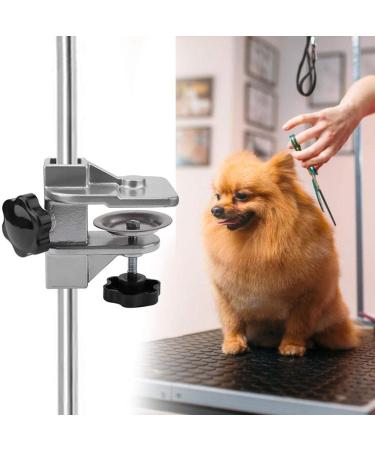 Pince de table pratique en alliage d'aluminium Soins des animaux de compagnie Pince de table pour un entretien s r et stable Salon de compagnie Usage domestique - Buy Online on GoSupps.com