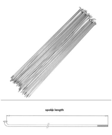 SENQI Bicycle Spokes: 80mm-297mm Stainless Steel with Copper Cap - 36pcs Silver, 260mm - Buy Online on GoSupps.com