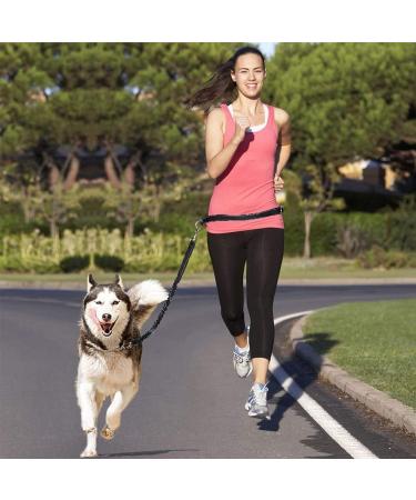 ADOGO Hands Free Running Dog Lead Multifunctional Adjustable Dog Leash Dog Walking Lead Adjustable Dog Seat Belt With Elastic Bungee And Reflective Stripe For Puppy Large Dog Lead - Buy Online on GoSupps.com