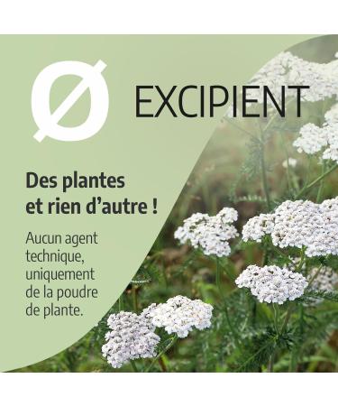 Yarrow 200mg - 200 capsules - Buy Online on GoSupps.com