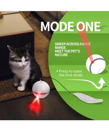 Interactive Cat Toy with LED Light, Feather Toy, and Jingle Bell | USB Rechargeable Rolling Laser Ball for Cats - Buy Online on GoSupps.com