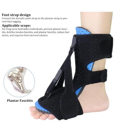 Plantar Fasciitis Night Splint & Foot Drop Brace - Lightweight Heel Pain Relief for Men & Women - Ankle Support - Buy Online on GoSupps.com