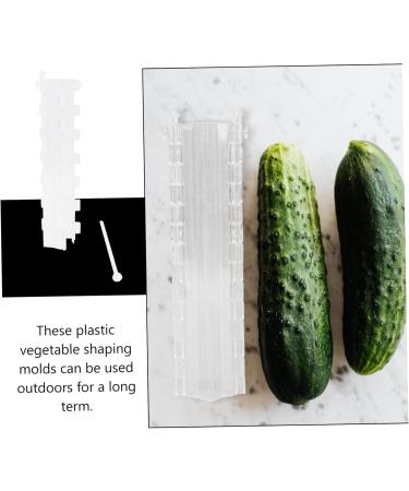 SEWOART 2pcs Melon and Fruit Shaping Mold Vegetables Melon Shaping Tools Star Shaped Cucumber Molds Melons - Buy Online on GoSupps.com
