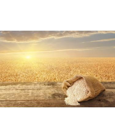 Organic Oat Bran 3 Pounds - Non-GMO High Fiber Hot Cereal | Raw Vegan Kosher | Milled from High Protein Oats | USA Product - Buy Online on GoSupps.com