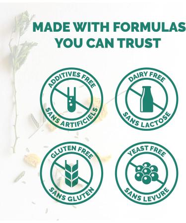 VORST Astragalus 6000mg Raw Equivalent (1500mg With 4:1 Extract Ratio) 180 Vegan Capsules | Supplement for Boosting Immune System | Root Powder Pills | 3 Bottles 1 count (Pack of 540) - Buy Online on GoSupps.com