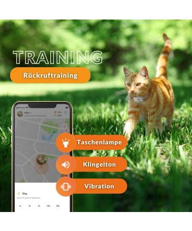 Weeneect XS for Cats - Mini GPS Tracker | Real-Time Tracking | Unlimited Distance | Smallest Model | Collar Included | 2023 Subscription - Buy Online on GoSupps.com