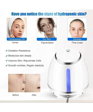 X&Z-XAOY Pulv risateur D'injection d'eau D'oxyg ne Machine De Soins De La Peau du Visage Pulv risateur Facial Nano pour Anti- ge Rajeunissement De La Peau Nettoyage en Profondeur - Buy Online on GoSupps.com