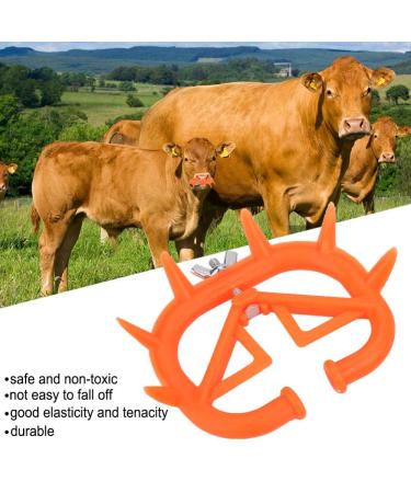 VINGVO Calf Nose Weaning Ring - 5 Pcs Plastic Spiked Rings to Prevent Suckling | Ideal for Calf Weaning - Buy Online on GoSupps.com