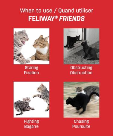 FELIWAY Friends Diffuser Refill (FELIWAY MultiCat) - Use with FELIWAY Cat Diffusers - Helps Reduce Fighting Tension and Conflicts Between Cats in The Home (30 Day Supply FELIWAY Refill D894) - Buy Online on GoSupps.com
