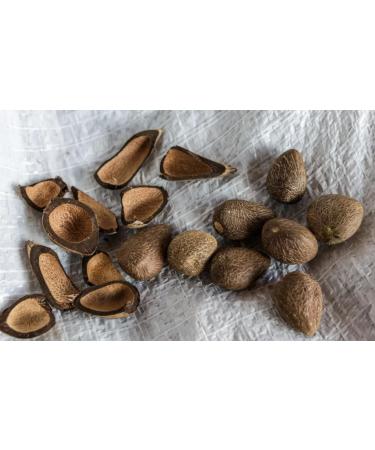 Murumuru Lot de 3 beurres corporels l'huile d'avocat Deliplus 300 ml - Buy Online on GoSupps.com