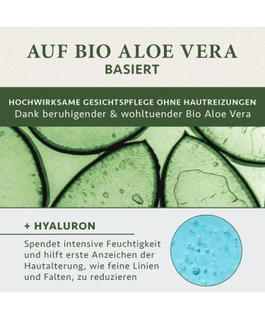 Vitamin C Serum 100ml - Hyaluron & Bio Aloe Vera - Vegan Facial Care for Women - Dark Circle & Pigment Spot Remover | Satin Nature - Buy Online on GoSupps.com