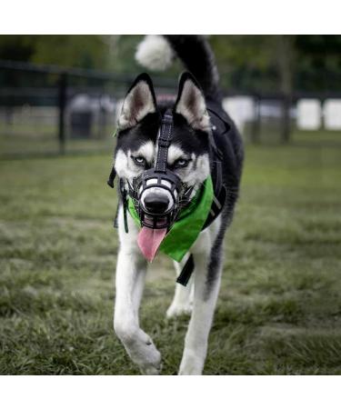 Buy Barkless Dog Muzzle - Soft Silicone Bite & Bark Control Drinking & Panting Enabled Size 3 (Snout 9 -10) Black - International Shipping - Buy Online on GoSupps.com