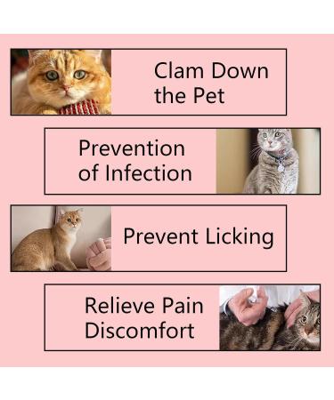 Cat Surgical Recovery Suit E-Collar Alternative for Cats Dogs After Surgery Wear Pajama Abdominal Wounds After Surgery Wear - Machine Washable - Kittens Physiological Clothes - Buy Online on GoSupps.com