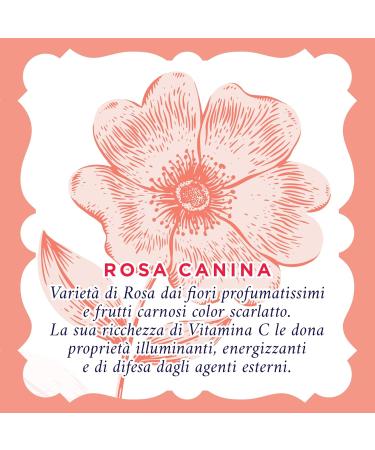  Acqua alle Rose Acqua alle Rose Illuminating Face Water Spray Ideal for Bleached and Opaque Skin Refreshes and Energizes the Skin with Rosehip Vitamin C 200 ml - Buy Online on GoSupps.com