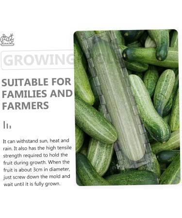 Milisten 3 Pcs Pentagram Mold Fruit Vegetable Growth Shaping Supplies Vegetable Growing Moulds Cucumber Rigid - Buy Online on GoSupps.com