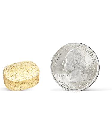 Airborne 500mg Vitamin C Chewable Tablets with Betaboost - 44ct Citrus Flavor, Supports Healthy Immune Cells, Year-Round Immune Support - Buy Online on GoSupps.com