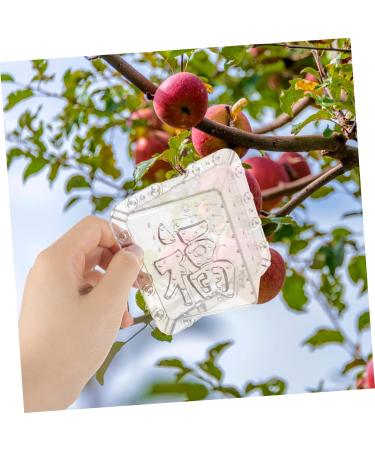 SUPVOX 8 Pcs Square Apple Square Fruit and Vegetable Growing Stereotypes Melon - Buy Online on GoSupps.com