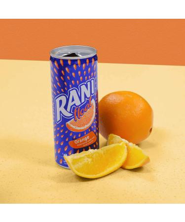 Rani Float Orange Juice 8 oz Pack of 24 - Imported from Dubai | Made with Real Fruit Pieces | Low Sugar - Buy Online on GoSupps.com