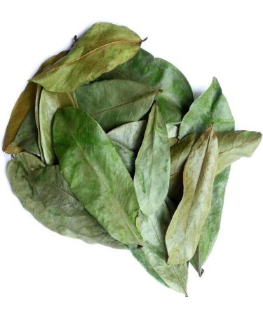 JAGGY Organic Soursop Leaves (400 Leaves) Dried Whole Natural Guanabana Graviola Guyabano Leaves - Buy Online on GoSupps.com