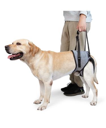 Dotoner Dog Lifting Harness Dog Support Harness for Back Legs Soft Dog Support Sling for Injured Disabled Small Medium Large Dogs Dog Sling for Back Legs Dog Lift Support Harness(XL Grey) XL Grey - Buy Online on GoSupps.com