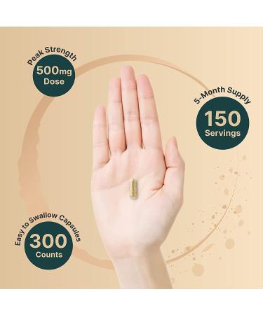 Naturebell Ginkgo Biloba Extract 500mg 300 Capsules | GinkoVida - Memory & Focus Support - Buy Online on GoSupps.com