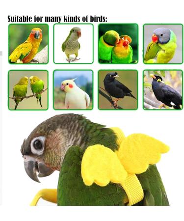 DKDDSSS 2 PCS Bird Harness Pet Parrot Leash Training Supplies Parrot Harness Leash Outdoor Adjustable for Cockatiel Mynah Monk Parakeet Macaw (Blue and Yellow) - Buy Online on GoSupps.com
