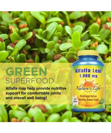 Natures Life Alfalfa Leaf Tablets 1000mg - Vitamin Rich Green Superfood | Non-GMO - 250 Count (Pack of 1) - Buy Online on GoSupps.com