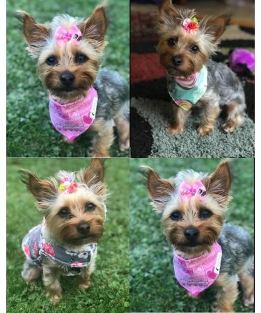 Masue Pets 50pcs Dog Hair Bows with Rhinestone Pearls - Cute Dog Topknot Bowknots - Buy Online on GoSupps.com