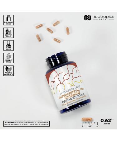 Nootropics Depot Cistanche Supercritical CO2 Extract Capsules | 20% Echinacoside + 20% Verbascoside (Acetoside) | 60 Count 60 Count (Pack of 1) - Buy Online on GoSupps.com