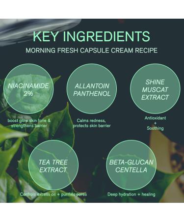URBANAND Morning Fresh Capsule cream, Vegan Skin Care, Face Moisturizer for Skin Radiance, Lighgtweight gel for Glow Hydration, Korean Skin Care (5.07 fl oz.) - Buy Online on GoSupps.com