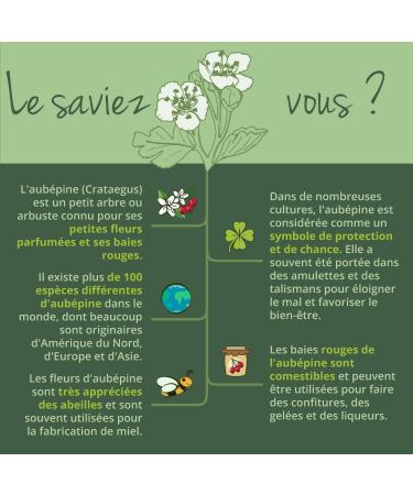 Vegavero Organic Hawthorn | 700 mg Extract per Capsule | French Extraction | No Additives | 1.5% Flavonoid Title | Natural Antioxidant + Relaxing | 60 Capsules | Vegan - Buy Online on GoSupps.com