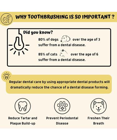Pawsonly Finger Toothbrush for Dogs & Cats - Set of 2 with Storage Box | Silicone Dental Care & Tooth Cleaning for Small Pets - Buy Online on GoSupps.com